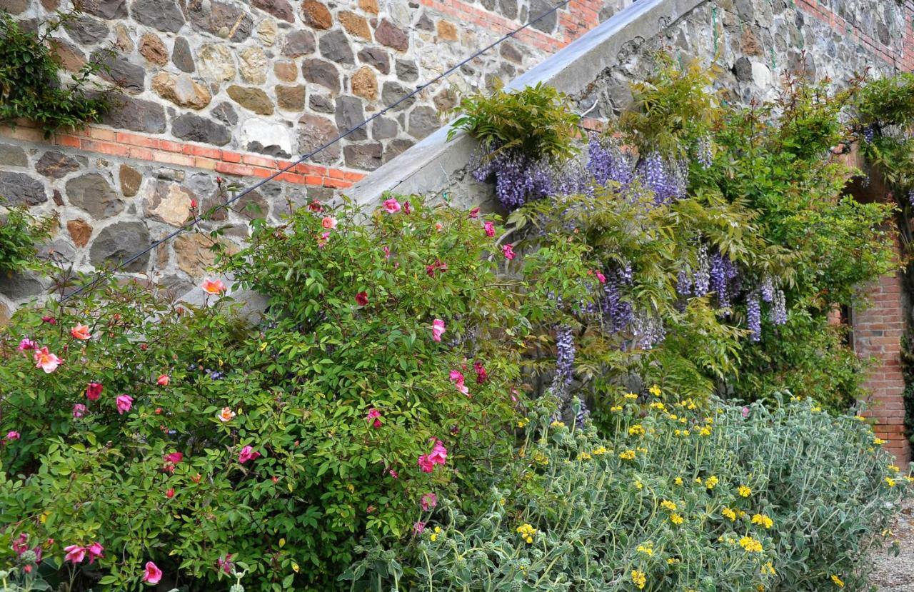 Chiarentana Di Donata Origo Villa Chianciano Terme Exterior foto